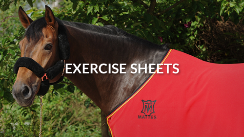 MATTES Exercise sheets